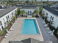 Orlando Palms