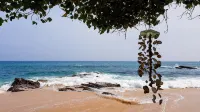 Little Tamarind