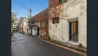 The Brass Bear in Darlinghurst - 4-Star
