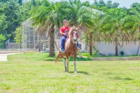 Nandanshan Stars Retreats