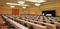 Signia by Hilton Diplomat Beach Resort - Business