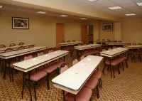 Comfort Suites San Angelo Near University