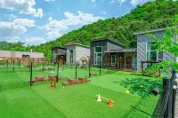 Gapyeong Dingdongdaeng Pet&Spa Poolvilla - Pet friendly