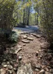Cozy cabin with 1 bedroom, Lakefront views in tranquil Terry! - 民泊