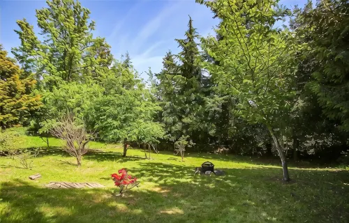 Tranquil 2-bed SeaTac Hideaway!