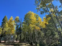 *NEW* Modern Rental Retreat in Angel Fire