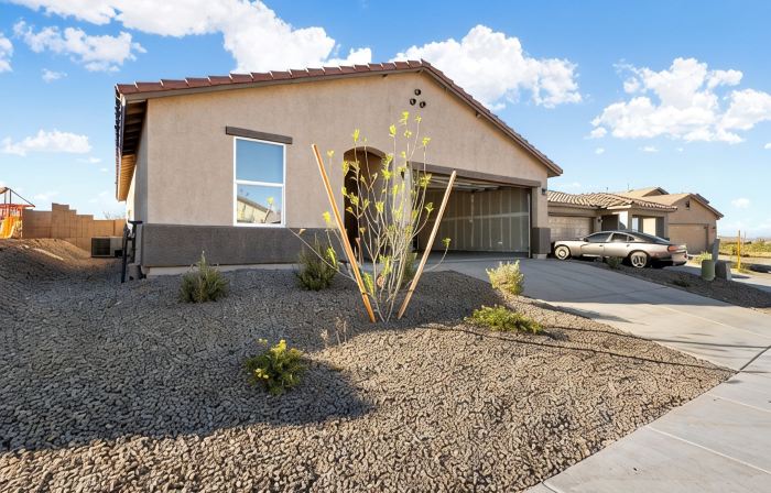 Hilltop Haven 3BD/2BTH in Beautiful Benson, AZ      Pets OK