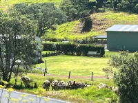 新西蘭風格靜謐的厄克特灣經典度假小屋 - 放鬆與充電 住宿飯店
