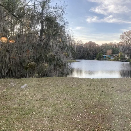 Waterfront home .5 miles from downtown Tavares and 10 minutes from Harris Chain.