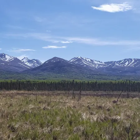 Chugach Foothills Chalet -- a charming, quiet east Anchorage retreat!