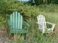 Lake Michigan Sunset View Cottage, Tunnel of Trees, Good Hart. Easement to Lake. - 鄉村度假屋