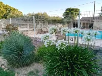Uzès: "L'Olivier" Apartment in a Country House, 10 Minutes on Foot from downtown—July Discount - Pools