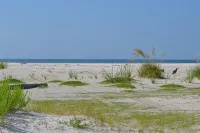 Perfect for Your Summer Getaway.  Quiet Beach & Pool Just Steps Away. - 비치