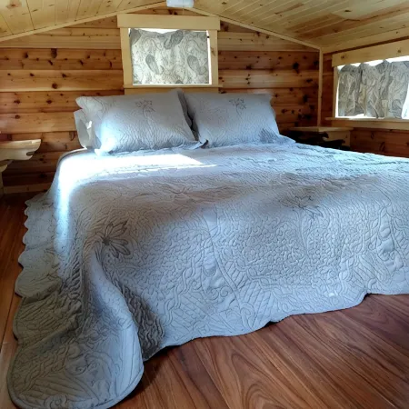 Cozy Creekside Tiny Home outside Forks, WA; Right in Olympic National Forest!