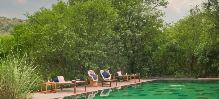 Trees N Tigers Luxury Wildlife Lodge Hotels in Alwar