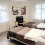 Bavarenok Hotel - 酒吧