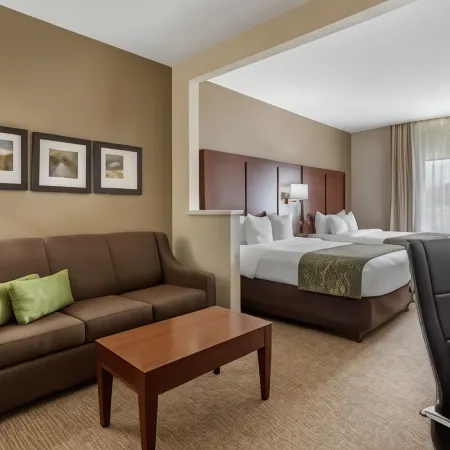 Comfort Suites Johnson City Near University
