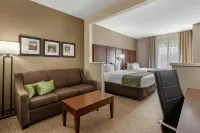 Comfort Suites Johnson City Near University - Gym