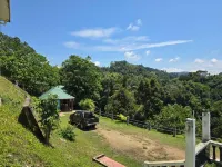 D View Hill Hotel - WiFi