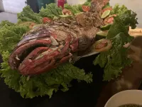 هانداجيدارا ريزورت - فطور