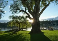 Shangri-La, Mannum - Wi-Fi