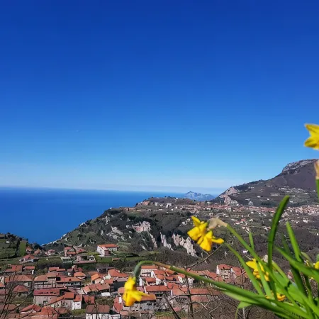 B&B Villa Reginella