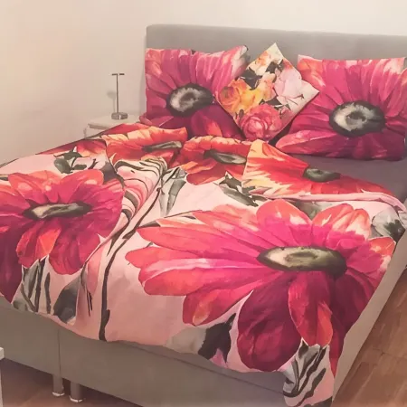 Studio Apartment in the Heart of Graz's Old Town -Kitchen, Bathroom, WC, Balcony