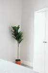 Charming 1-bedroom house in delightful Winona with WiFi, AC and PRIVATE PATIO - واي فاي