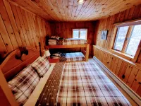 Luxury 8BR Ski In/Out Okemo Chalet on Sachem Trail Sleeps 22 Adults