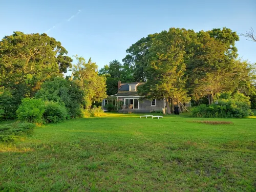 Beachfront Paradise in North Fork - Homestays