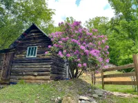 Cozy Cabin: Peaceful Haven in the Heart of Nature - Chalets