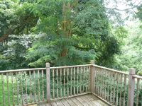 Pristine Cape Cod on the Creek! 4 Large Bedrooms - 6 Guests - 2-stjärniga
