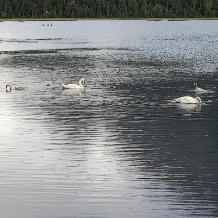 LUV2 FISH Vacation Rental on the Kenai River