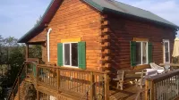 Secluded Cabin on the Hill in the Hocking Hills - Hytter