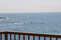 Ocean Front 2 BR Condo-ocean views from every room. 2nd floor Kona Reef "A" bldg - 3-Star