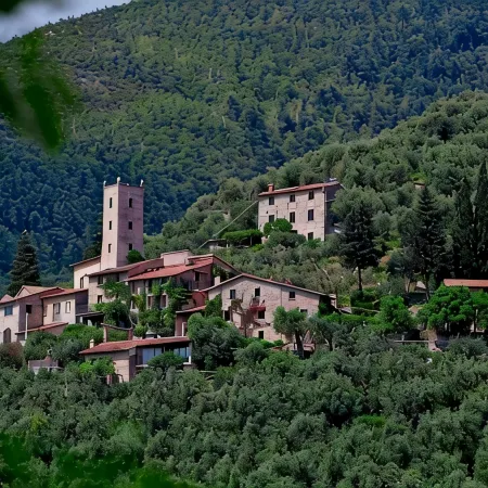 Peralta Tuscany