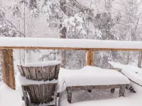 Northwoods Guest  Cabin & Porch Overlooking Private Woods and Stream - Chalets