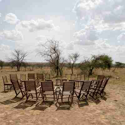 Ikoma Wild Camp Others