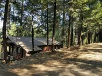 Cedar Pines Cabin w/ Fire Pit & Large Deck - BIG Trees - A Quaint Rustic Charmer - Wifi
