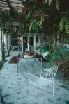 João Jungle - Beach