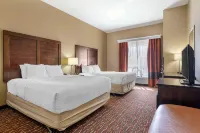 Comfort Inn & Suites Artesia - 2-Star