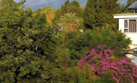 Kemer Star Hotel - Housity