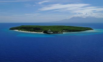 an aerial view of a tropical island with a small island in the middle surrounded by clear blue water at Bluewater Sumilon Island Resort