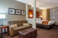 Comfort Suites NW Dallas Near Love Field