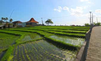 Pererenan Nengah Guest House Canggu