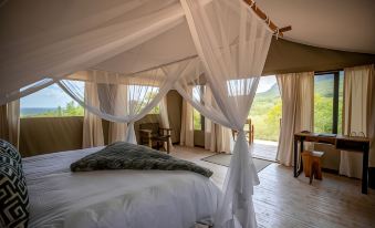 Cape Vulture Lodge