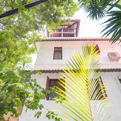 Afro Zanzibar Hotel Exterior