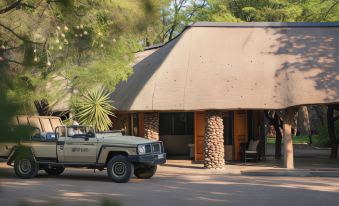 Mashatu Lodge - Mashatu Game Reserve