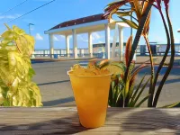 Waterside Inn Hotels in Vieques