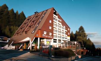 Hotel Treff - Housity